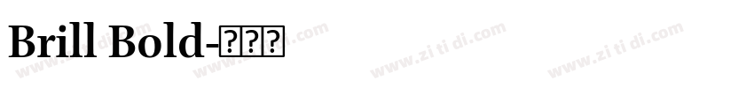 Brill Bold字体转换
